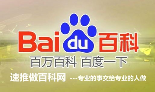 “百度百科参考资料不符合要求的原因有那些？”